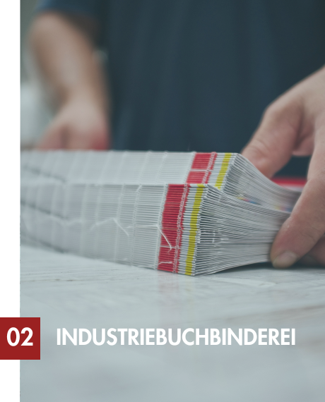 glasseco_sicherheitsglas